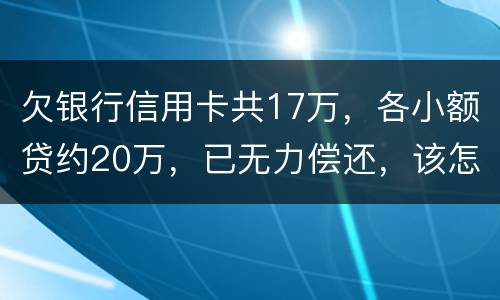 欠银行信用卡共17万，各小额贷约20万，已无力偿还，该怎么办