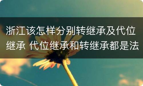 浙江该怎样分别转继承及代位继承 代位继承和转继承都是法定继承