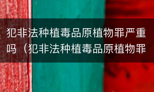 犯非法种植毒品原植物罪严重吗（犯非法种植毒品原植物罪严重吗怎么判）