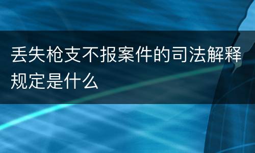 丢失枪支不报案件的司法解释规定是什么