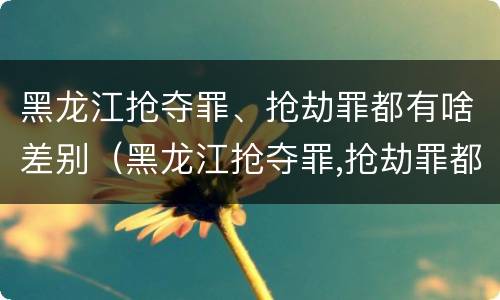 黑龙江抢夺罪、抢劫罪都有啥差别（黑龙江抢夺罪,抢劫罪都有啥差别呢）