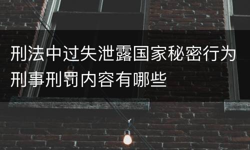 刑法中过失泄露国家秘密行为刑事刑罚内容有哪些