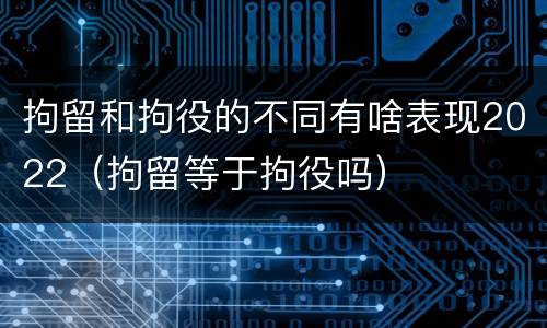 拘留和拘役的不同有啥表现2022（拘留等于拘役吗）