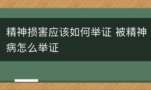 精神损害应该如何举证 被精神病怎么举证