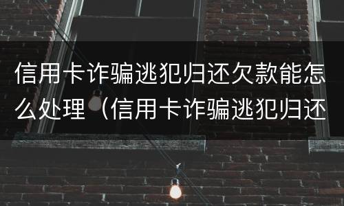 信用卡诈骗逃犯归还欠款能怎么处理（信用卡诈骗逃犯归还欠款能怎么处理吗）