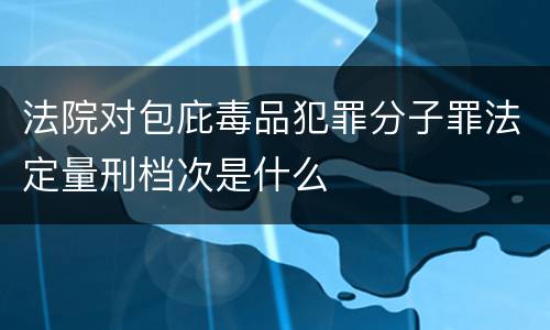 法院对包庇毒品犯罪分子罪法定量刑档次是什么