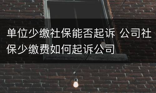 单位少缴社保能否起诉 公司社保少缴费如何起诉公司