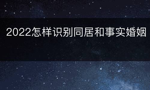 2022怎样识别同居和事实婚姻