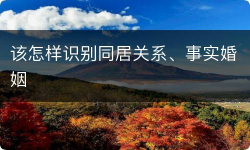 该怎样识别同居关系、事实婚姻