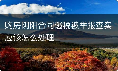 购房阴阳合同逃税被举报查实应该怎么处理