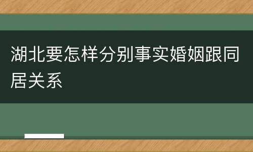 湖北要怎样分别事实婚姻跟同居关系