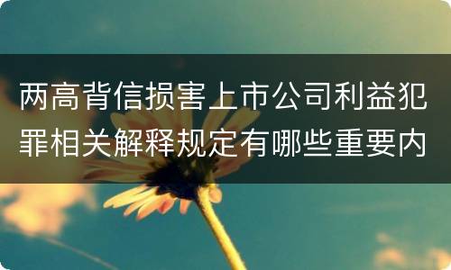 两高背信损害上市公司利益犯罪相关解释规定有哪些重要内容