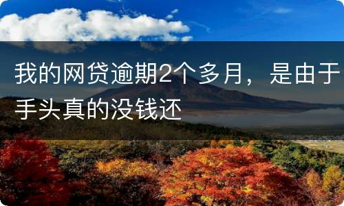 我的网贷逾期2个多月，是由于手头真的没钱还