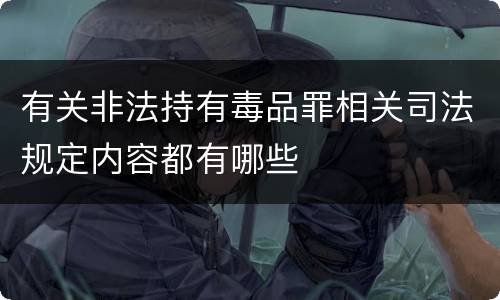 有关非法持有毒品罪相关司法规定内容都有哪些