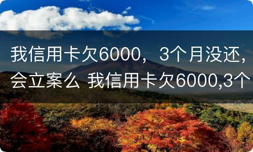 我信用卡欠6000，3个月没还，会立案么 我信用卡欠6000,3个月没还,会立案么吗