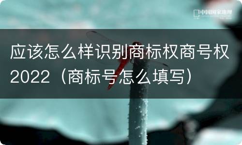 应该怎么样识别商标权商号权2022（商标号怎么填写）