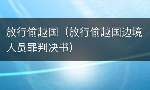 放行偷越国（放行偷越国边境人员罪判决书）