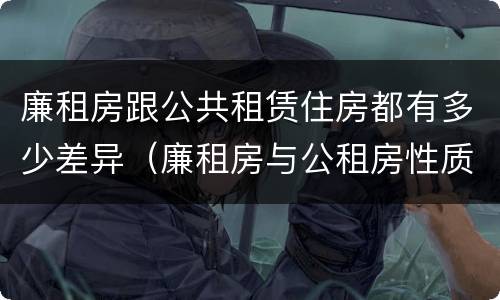 廉租房跟公共租赁住房都有多少差异（廉租房与公租房性质是一样的吗）