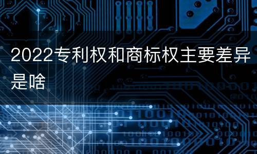 2022专利权和商标权主要差异是啥