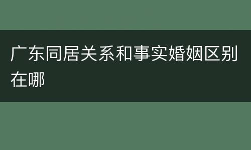 广东同居关系和事实婚姻区别在哪