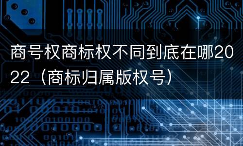 商号权商标权不同到底在哪2022（商标归属版权号）