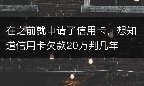 在之前就申请了信用卡，想知道信用卡欠款20万判几年