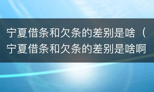 宁夏借条和欠条的差别是啥（宁夏借条和欠条的差别是啥啊）