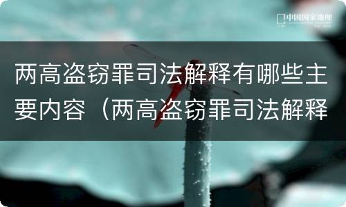 两高盗窃罪司法解释有哪些主要内容（两高盗窃罪司法解释有哪些主要内容呢）