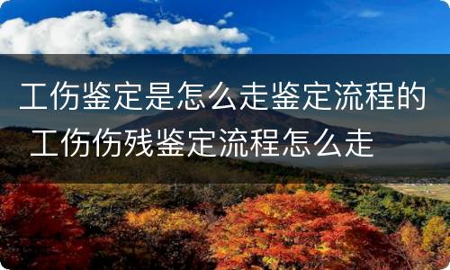 工伤鉴定是怎么走鉴定流程的 工伤伤残鉴定流程怎么走