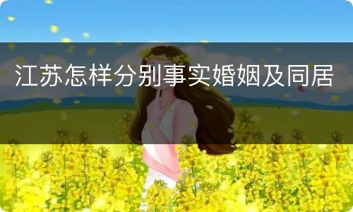 江苏怎样分别事实婚姻及同居