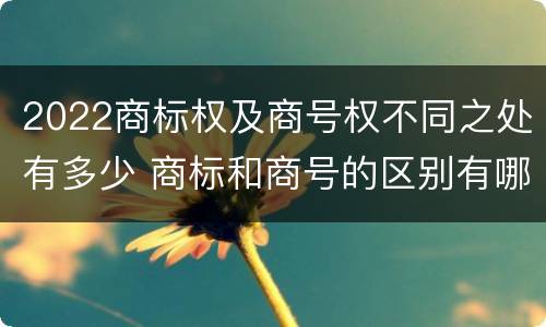 2022商标权及商号权不同之处有多少 商标和商号的区别有哪些?