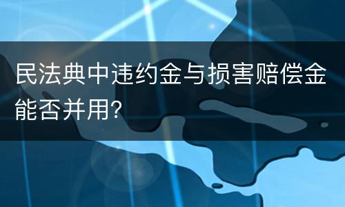 民法典中违约金与损害赔偿金能否并用？