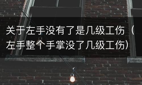 关于左手没有了是几级工伤（左手整个手掌没了几级工伤）