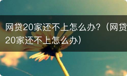 网贷20家还不上怎么办?（网贷20家还不上怎么办）