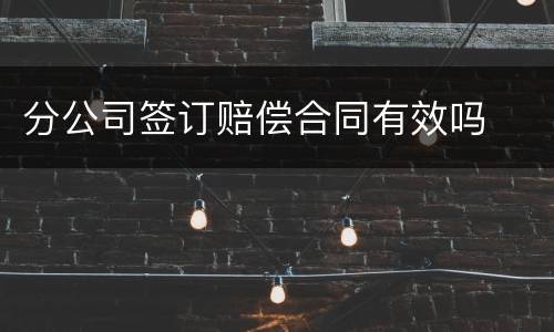 分公司签订赔偿合同有效吗