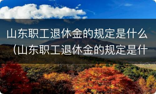 山东职工退休金的规定是什么（山东职工退休金的规定是什么意思）