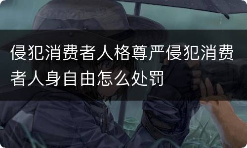 侵犯消费者人格尊严侵犯消费者人身自由怎么处罚