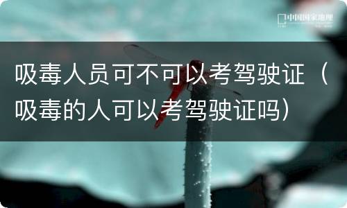 吸毒人员可不可以考驾驶证（吸毒的人可以考驾驶证吗）