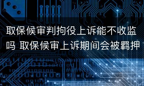 取保候审判拘役上诉能不收监吗 取保候审上诉期间会被羁押吗