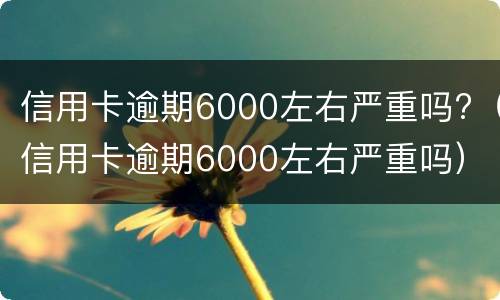 信用卡逾期6000左右严重吗?（信用卡逾期6000左右严重吗）