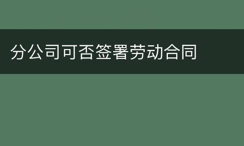 分公司可否签署劳动合同