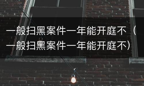 一般扫黑案件一年能开庭不（一般扫黑案件一年能开庭不）