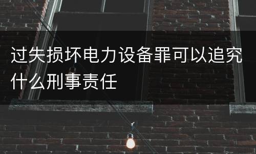 过失损坏电力设备罪可以追究什么刑事责任