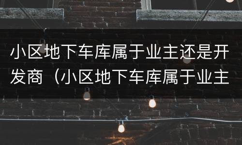 小区地下车库属于业主还是开发商（小区地下车库属于业主还是开发商小区的公摊面积怎么查）