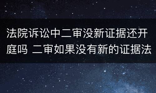 法院诉讼中二审没新证据还开庭吗 二审如果没有新的证据法院会改判吗