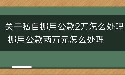 关于私自挪用公款2万怎么处理 挪用公款两万元怎么处理