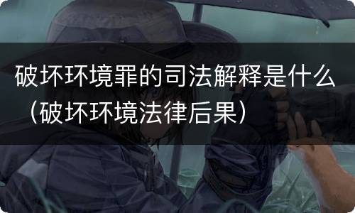 破坏环境罪的司法解释是什么（破坏环境法律后果）