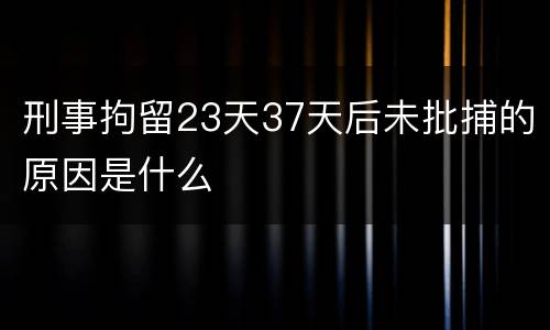 刑事拘留23天37天后未批捕的原因是什么