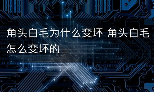 角头白毛为什么变坏 角头白毛怎么变坏的