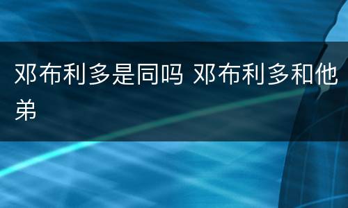 邓布利多是同吗 邓布利多和他弟